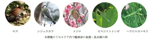 生物多样性目标物种