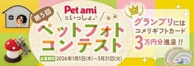 Pet ami 摄影比赛横幅