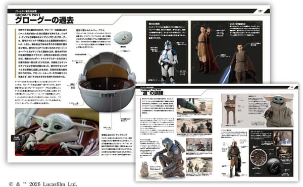 Star Wars The Mandalorian Visual Guide