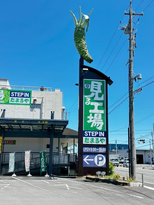 스텝 인 타마루야의 와사비 절임 제조