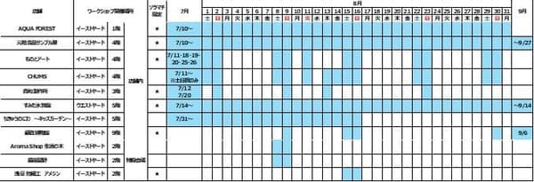 Workshop schedule overview