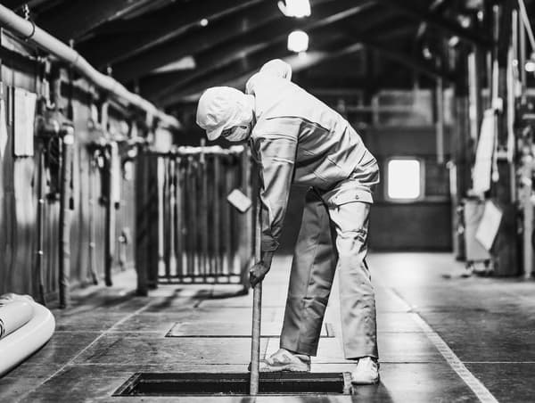 Traditional sake brewing at Tamanohikari Sake Brewery