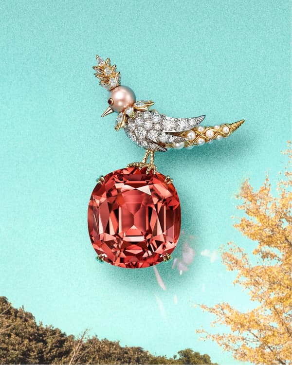 Tiffany & Co. Bird on a Rock summer and autumn season brooches