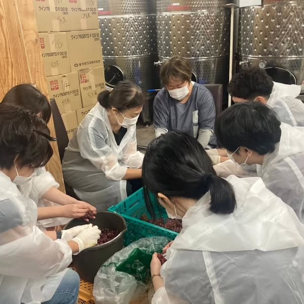 在实际酒庄的实践工作