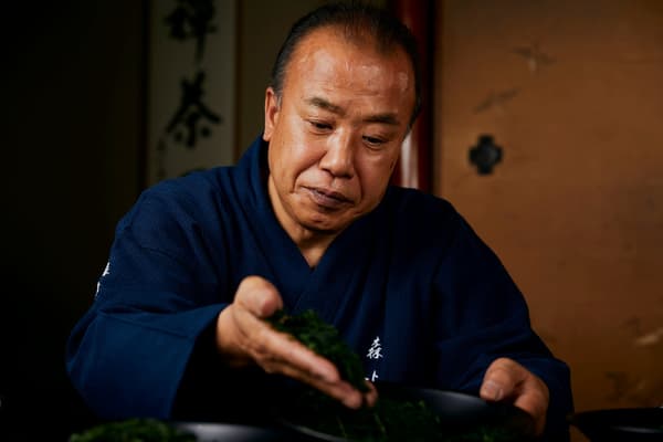 森半茶师菊冈胜