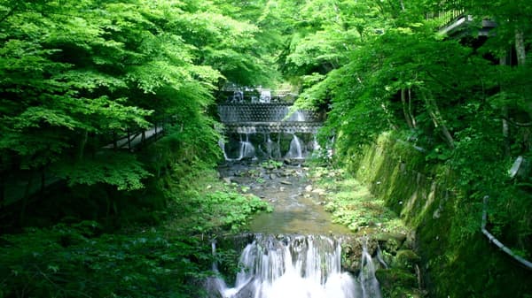 El verde intenso del pleno verano a lo largo del río Fujiki