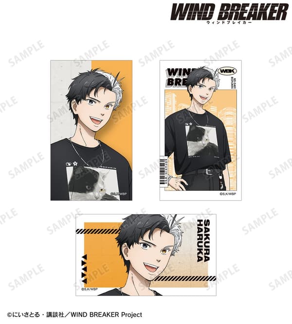 Summer Ver. Illustration Card 3-Piece Set