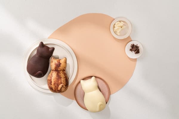 猫咪造型费南雪