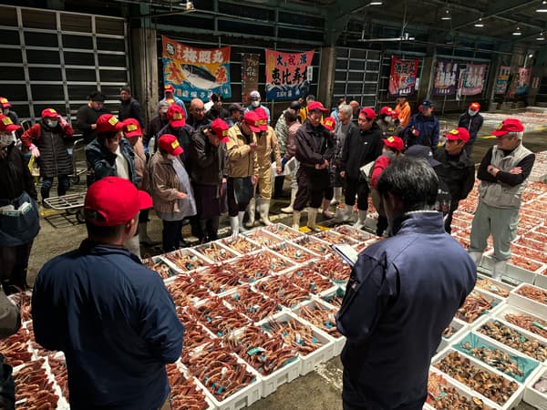 The auction at Hashidate Fishing Port