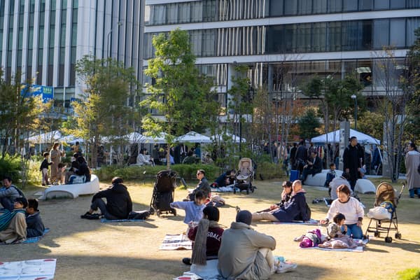 Specialty coffee and lawn area