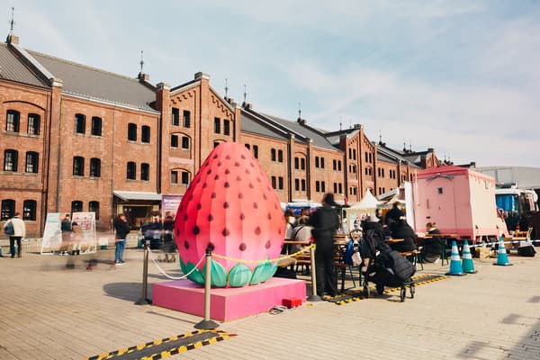 草莓形状的灯笼物体