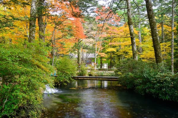 Fish and Forest Observation Garden