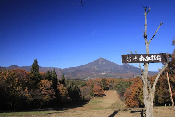 Minamigaoka Dairy Farm