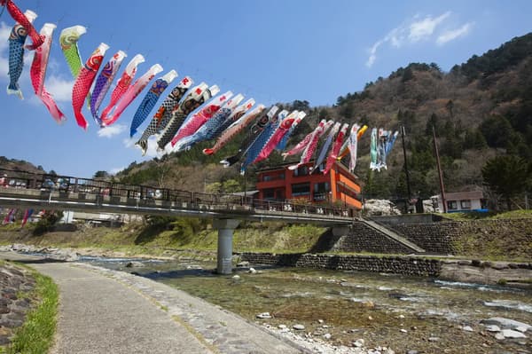 Carp streamers swimming in Naka River