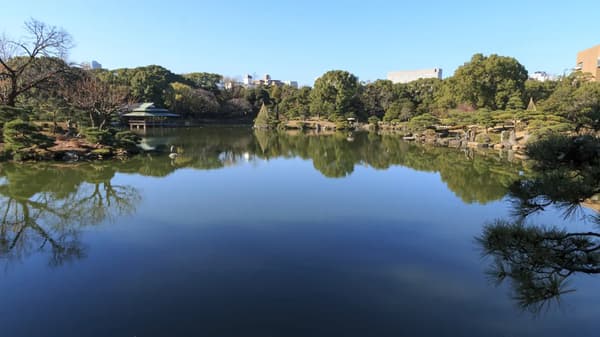 清澄庭園(청정정원)