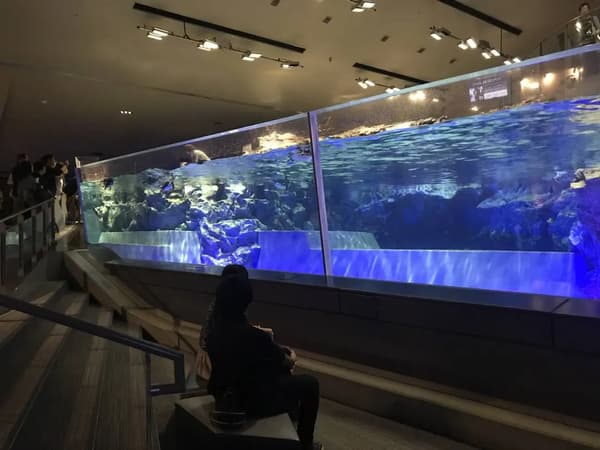 Penguin Aquarium