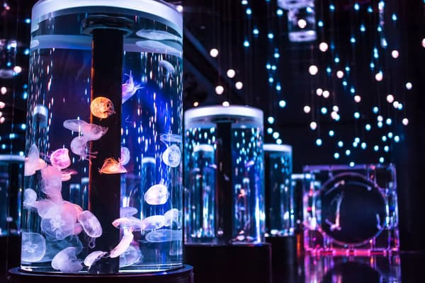 アクアパーク品川内