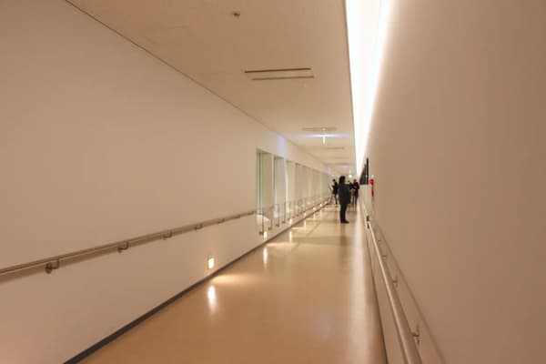 Tuna Auction Observation Deck