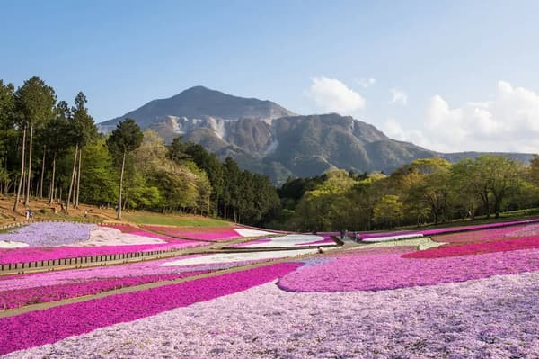 洋山公園