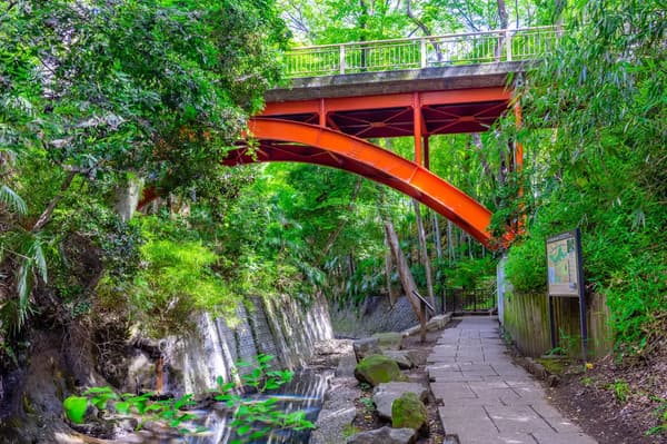 Todoroki Valley (等々力渓谷)