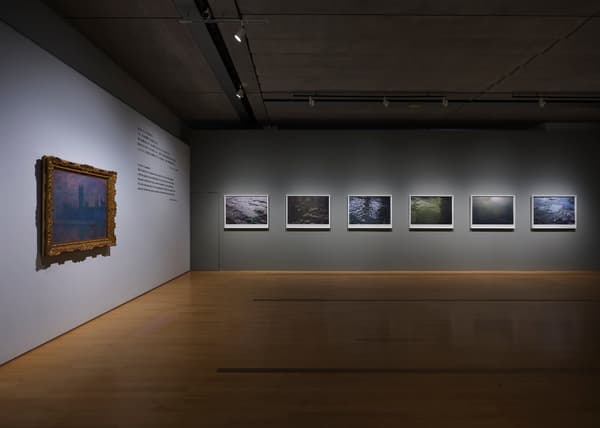 Vista de la exposición de Claude Monet, Roni Horn