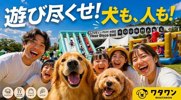 THE MEGA JUMP MOUNTAIN JAPAN attraction overview at WHATAWON
