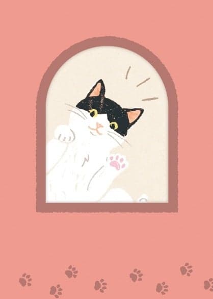 Ciao Letter Set 产品概述