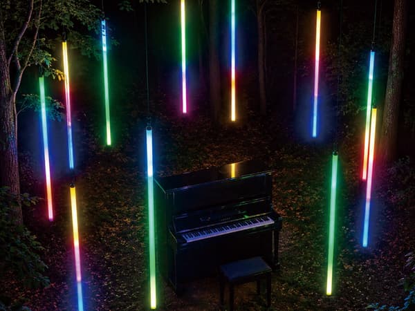 Forest of Piano