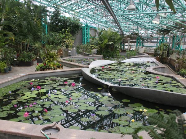 草津市立水生植物公園水之森外觀