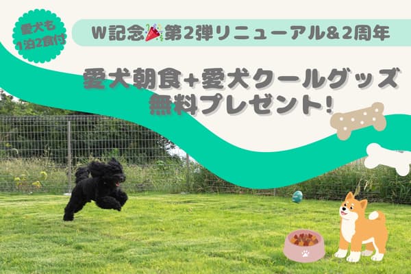 리뉴얼 & 2주년 기념 캠페인 플랜 2 상세