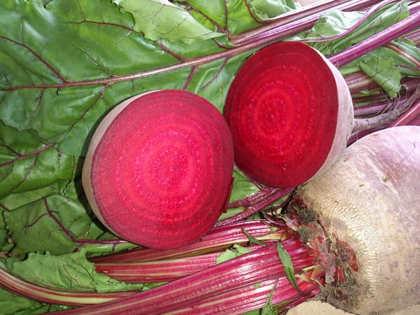 新鮮甜菜根