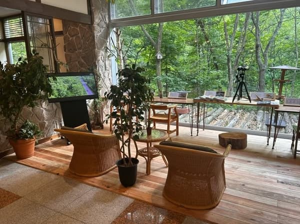 朝阳度假酒店大堂内的观鸟角