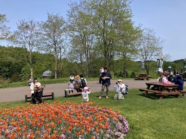 팔레트 화단