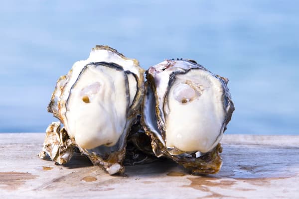 Spanish paella dish with colorful vegetables