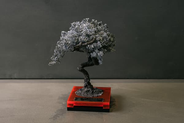 전시 중인 RE BONSAI 작품