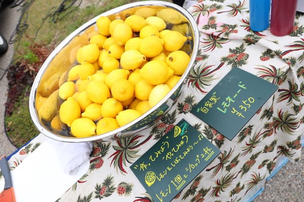Limonada y verduras orgánicas