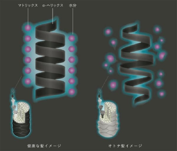 头发老化应对示意图