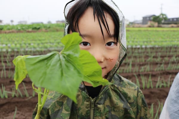 参与者手持红薯苗(摄于2025年5月活动)