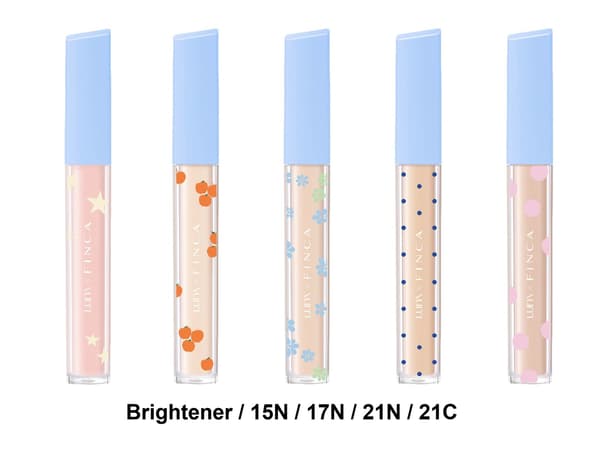 Long-lasting Chip Concealer EX