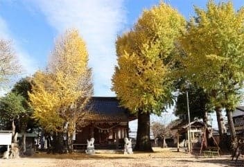 츠코 하치류 신사