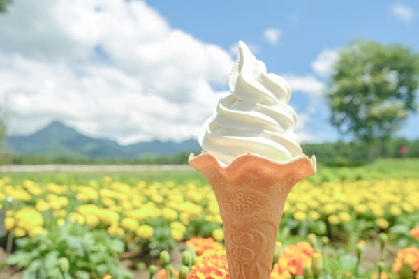 Es krim lembut susu segar