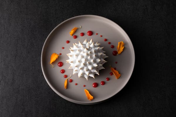 Baked Alaska dengan jeruk