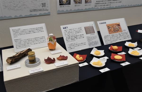 Exhibition at Sayama City Museum
