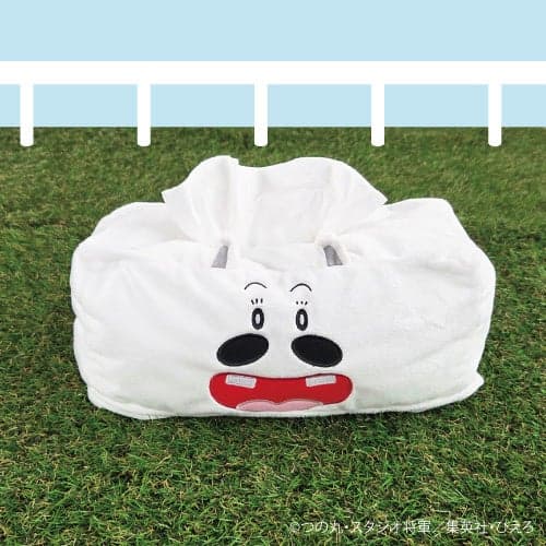 Prize B: Box Tissue Case