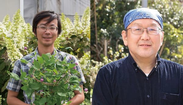 클레마티스 토크