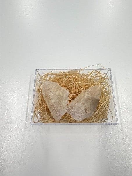 银龙鱼鱼鳞