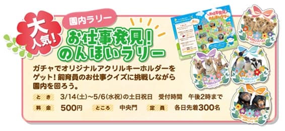 논호이 랠리 일러스트