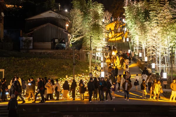 Many visitors enjoy the light displays each year