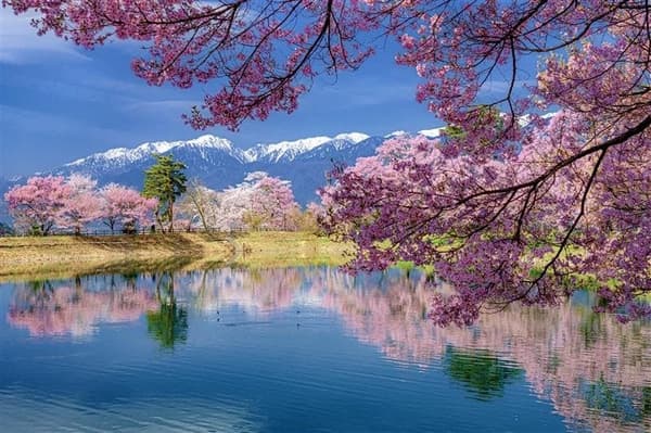 Spring landscape in Nagano (Image)