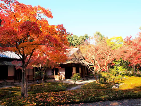 Tea room in the Japanese Garden
